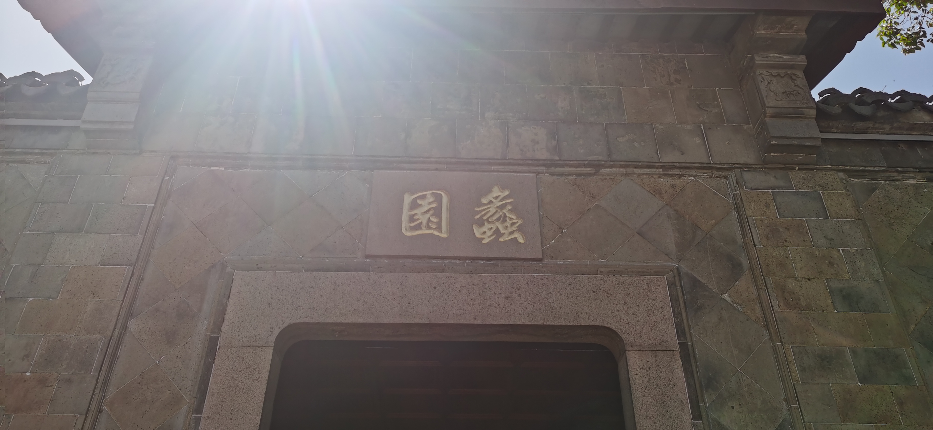 IMG_20250502_093652.jpg